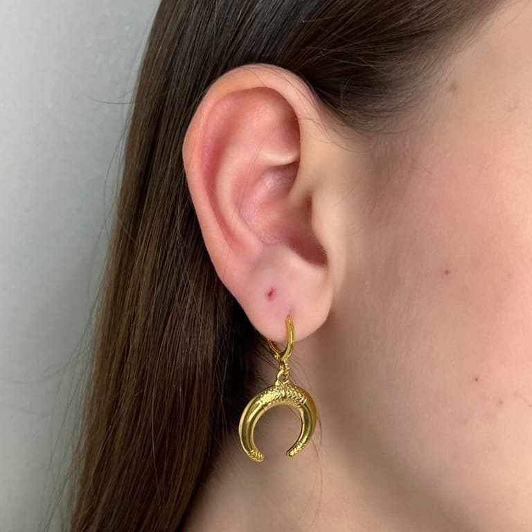 Brinco argola, ale, meia lua, dourado - REF B968