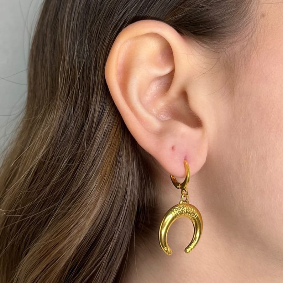 Brinco argola, ale, meia lua, dourado - REF B968
